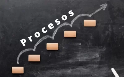 ▷ Procesos para obtener la certificación Kosher