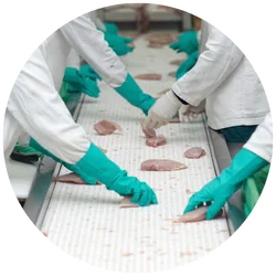 Industria de alimentos